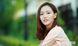 刘晨爆料倪海杉视频,真相与争议并存