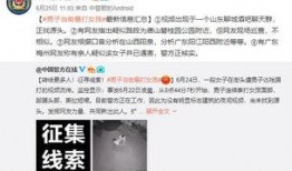 汕尾匿名爆料案件最新,揭开背后真相，正义终将到来